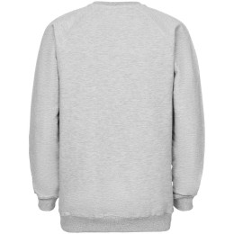 Принтэссенция Свитшот «Преодолень», серый меланж