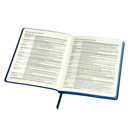 Happy gifts Ежедневник недатированный Arti, B6+, серебристый, блок в клетку, синий обрез