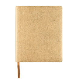 Happy gifts Ежедневник недатированный Arti, B6+, золотистый, кремовый блок, золотистый обрез