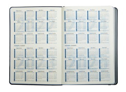 Happy gifts Ежедневник датированный на 2022 год Shady, А5, оранжевый, кремовый блок, оранжевый обрез