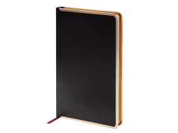 Bruno Visconti Ежедневник недатированный A5 «Chelsea», черный (золотистый кант и срез)