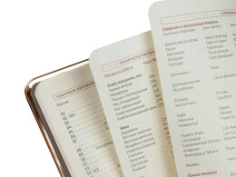 Bruno Visconti Ежедневник недатированный A5 «Chelsea», черный (золотистый кант и срез)