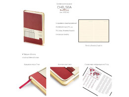 Bruno Visconti Ежедневник недатированный A5 «Chelsea», черный (золотистый кант и срез)