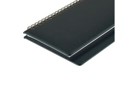 Альт Планинг ГР. датированный «Sidney Nebraska» 2026, зеленый