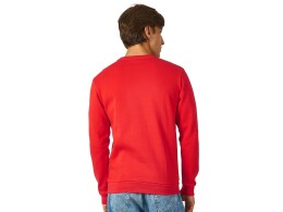 US Basic Толстовка "Rome" мужская, красный