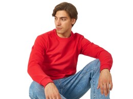 US Basic Толстовка "Rome" мужская, красный