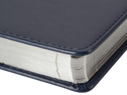 Bruno Visconti Ежедневник недатированный А5 "Parliament", синий