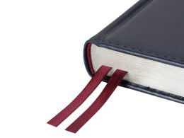 Bruno Visconti Ежедневник недатированный А5 "Parliament", синий