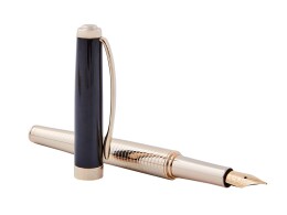 Pierre Cardin Ручка перьевая Pierre Cardin GOLDEN. Цвет - золотистый и черный. Упаковка B-1