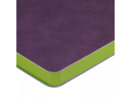 Bruno Visconti Ежедневник недатированный А5 «Boston», фиолетовый