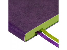 Bruno Visconti Ежедневник недатированный А5 «Boston», фиолетовый