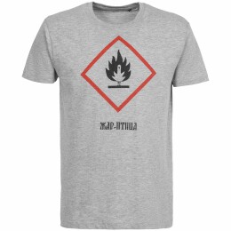 Author's Футболка «Жар-птица», серый меланж