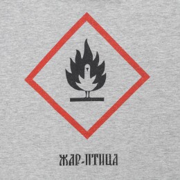 Author's Футболка «Жар-птица», серый меланж