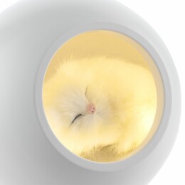 Molti Беспроводная лампа-колонка Right Meow, белая