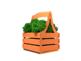OKTAUR Композиция "Корзинка со мхом", оранжевый