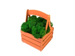 OKTAUR Композиция "Корзинка со мхом", оранжевый
