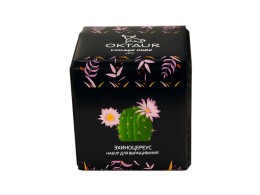 OKTAUR Набор для выращивания "Small village cube "Эхиноцереус"