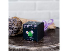 OKTAUR Набор для выращивания "Small village cube "Эхиноцереус"