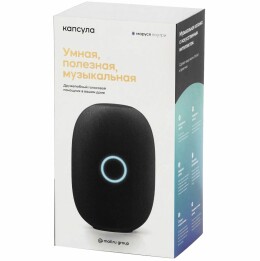 Mail.Ru Умная колонка «Капсула» с помощником «Маруся», черная