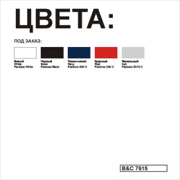 B&C Поло Safran Pocket черный XL