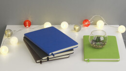 WOWNOTE Блокнот "Ровиго", формат А5 зеленое яблоко