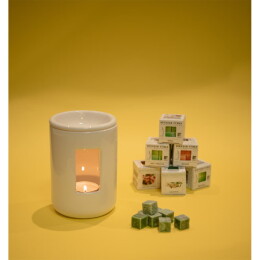 Разное Аромакубики ЯБЛОКО (8шт)