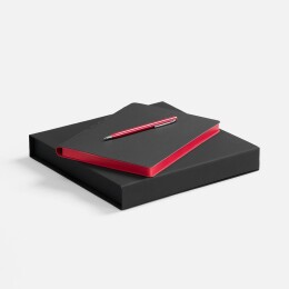 Разное Набор Flexpen Black, красный