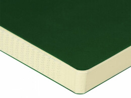 Bruno Visconti ЕЖЕДНЕВНИК недатированный А5- "MEGAPOLIS FLEX QUATTRO" (ЗЕЛЕНЫЙ)