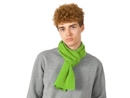 US Basic Шарф Dunant, зеленое яблоко