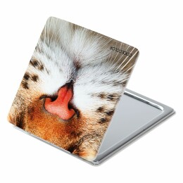 CoolColor Зеркало «Кис-Kiss», квадратное