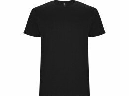 Roly Футболка "Stafford" мужская, черный