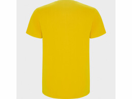 Roly Футболка "Stafford" мужская, желтый