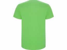 Roly Футболка "Stafford" мужская, зеленое яблоко