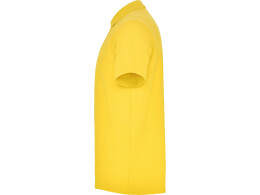 Roly Рубашка поло "Austral" мужская, желтый