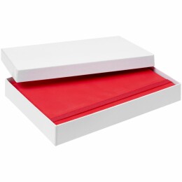 Разное Коробка под ежедневник Startpoint, белая