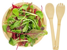 Seasons Argulls, бамбуковая салатница и приборы, natural