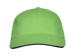 Roly Бейсболка "Panel" унисекс, зеленое яблоко