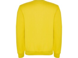 Roly Свитшот с начесом "Clasica" детский, желтый
