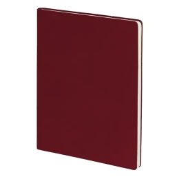 Happy gifts Бизнес-блокнот BIGGY, формат B5, в клетку