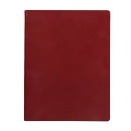 Happy gifts Бизнес-блокнот BIGGY, формат B5, в клетку