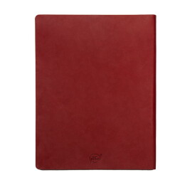 Happy gifts Бизнес-блокнот BIGGY, формат B5, в клетку