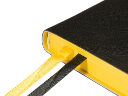 Bruno Visconti Ежедневник недатированный А5 "Boston", черный (желтый обрез)