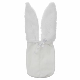 Разное Мешок Earony для конфет или бутылки шампанского