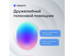 VK Умная колонка VK Капсула Мини с голосовым помощником Марусей, терракотовый