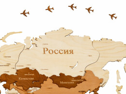 Разное Интерьерная карта мира "World"