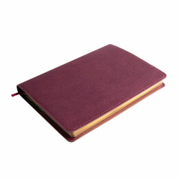 Enote Ежедневник недатированный портфолио Mark,формат А5, в линейку