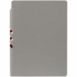 Контекст Ежедневник Flexpen, недатированный, серебристо-красный