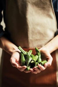 Разное Фартук VINGA Asado