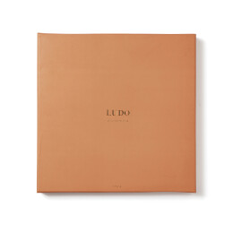 Разное Настольная игра VINGA Ludo