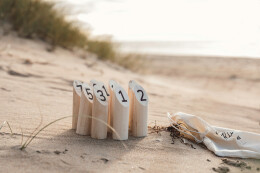 Разное Деревянная игра Финские кегли VINGA